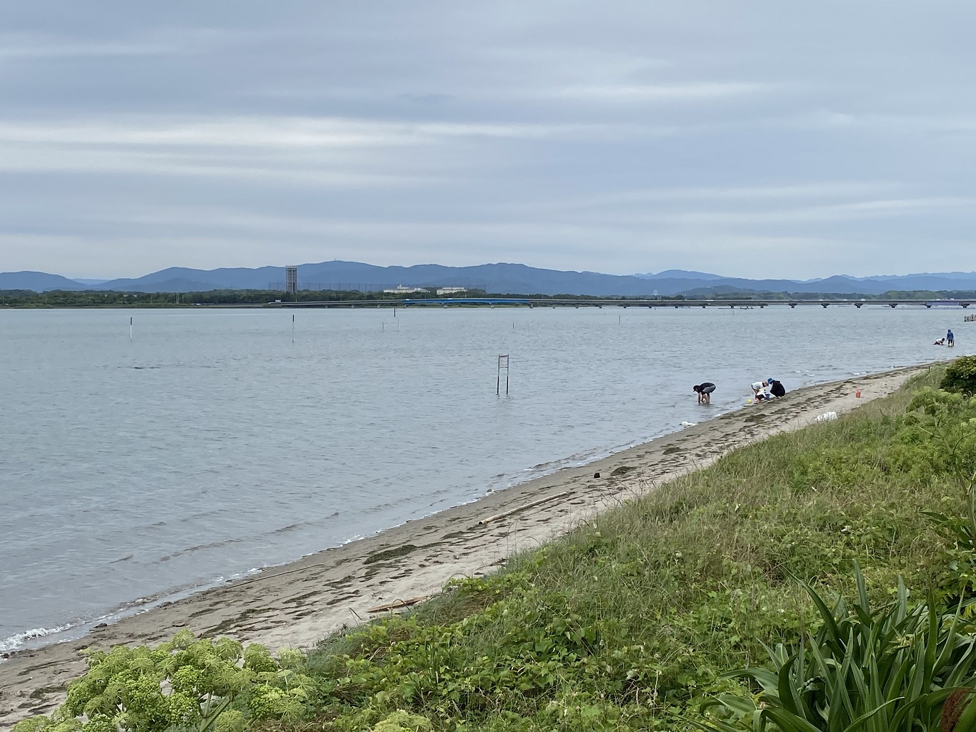 浜松市渚園 浜松のアウトドア施設